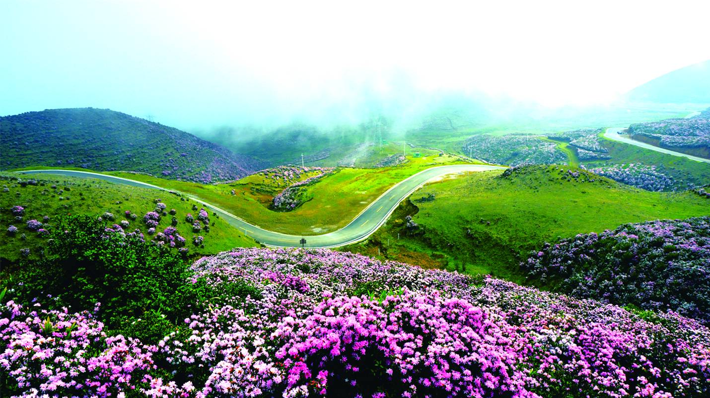 【涼都尋美】六盤水清明踏青攻略!猛戳這里
