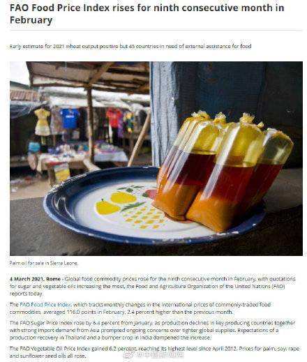 全球食品價(jià)格連續(xù)9個(gè)月上漲,中國人均糧食占有量在474公斤