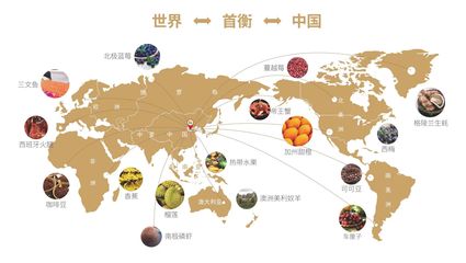 枝葉關情暖民生，首衡城聚貿易興——孝南區第二屆網評大賽東湖評論